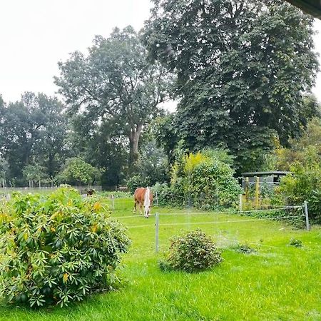 Urlaub In Unserem „Kleinen Haus“ Nindorf  المظهر الخارجي الصورة